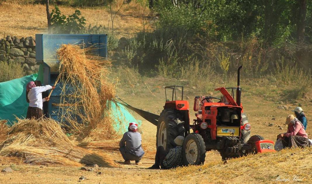 Konya’da kuraklığın içine çizilmiş harman portresi 2